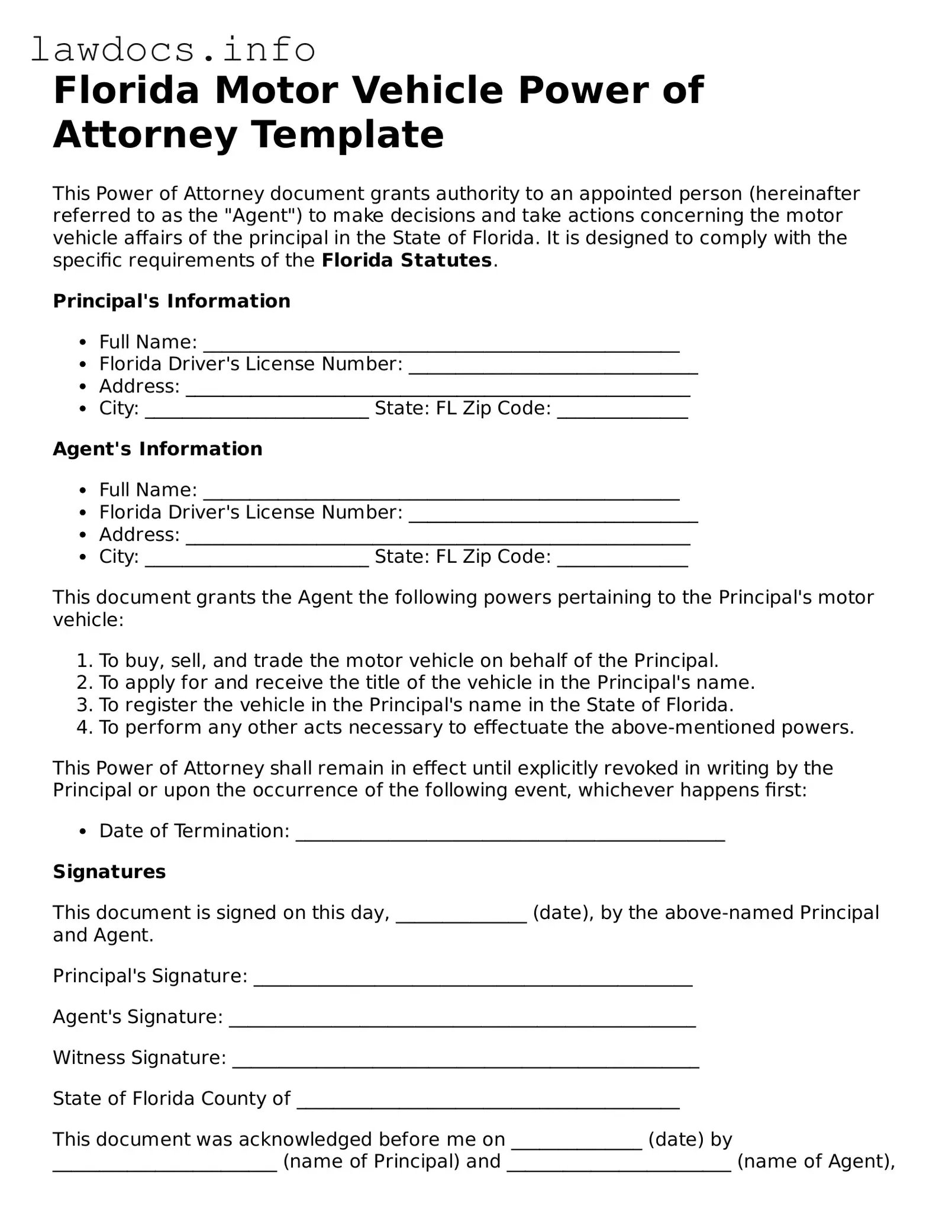 Blank Motor Vehicle Power of Attorney Template for the State of Florida