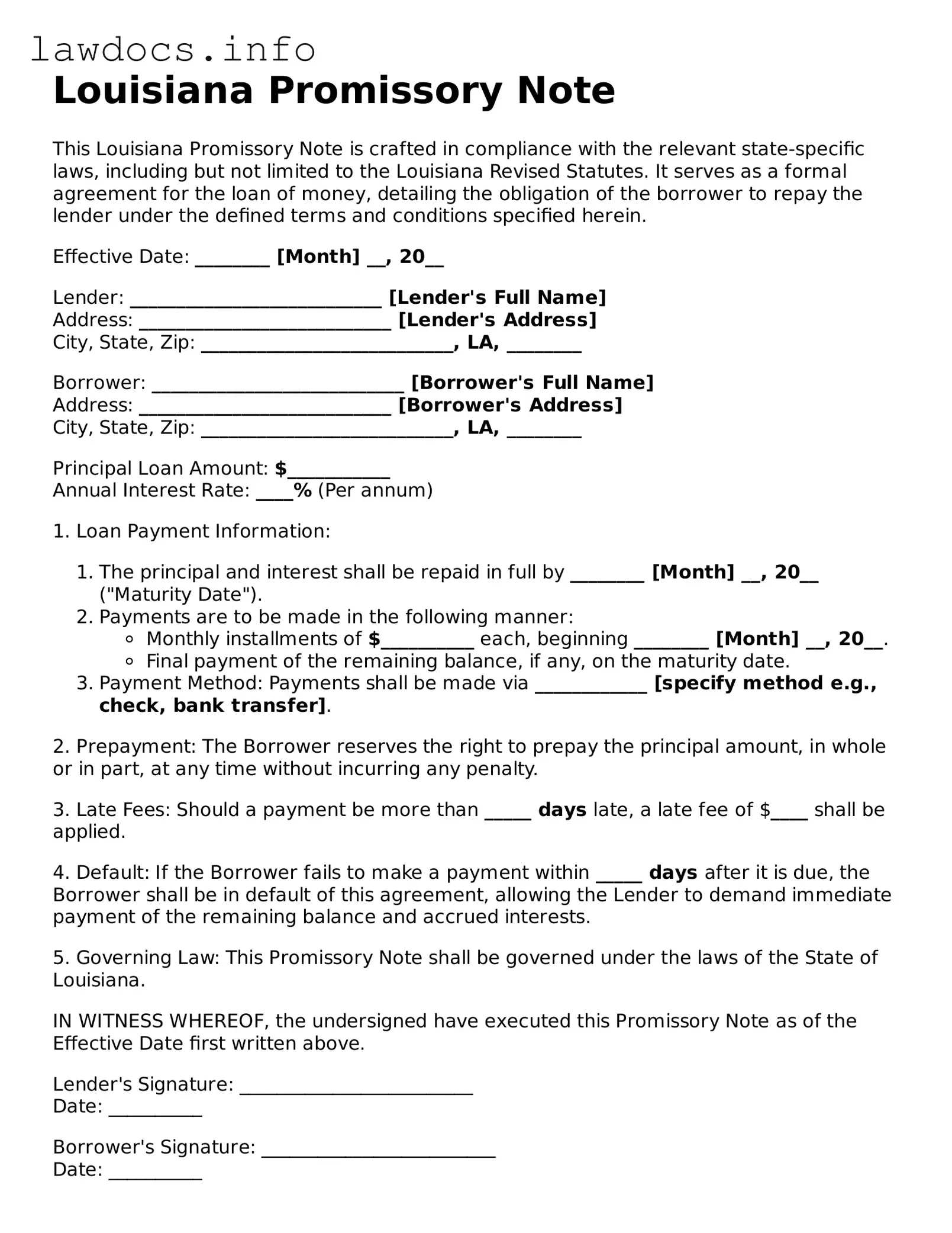 Blank Promissory Note Template for the State of Louisiana
