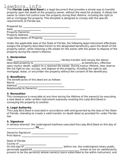 Blank Lady Bird Deed Template for the State of Florida