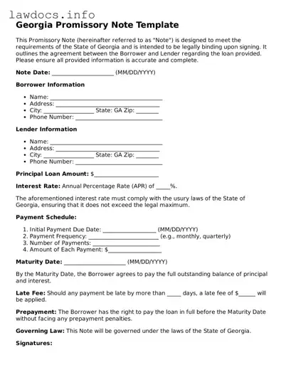 Blank Promissory Note Template for the State of Georgia